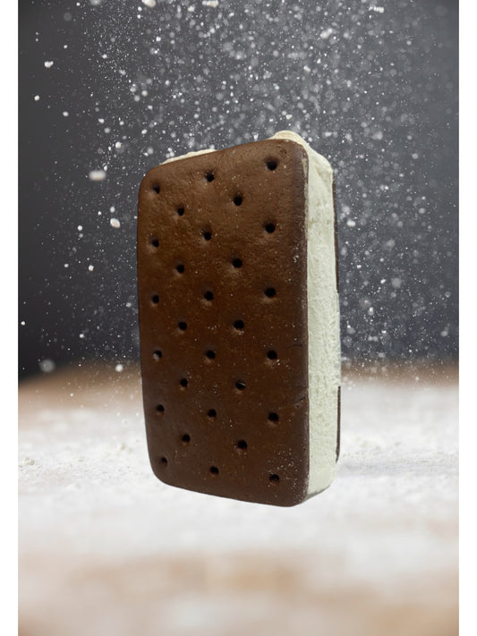 Freeze dried Z’s Ice cream sandwich